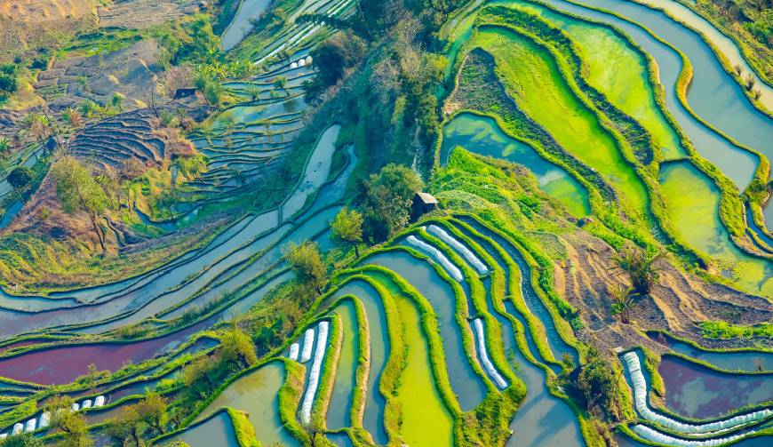 宝妈必备神器：来宾产品视频拍摄轻松育儿好帮手